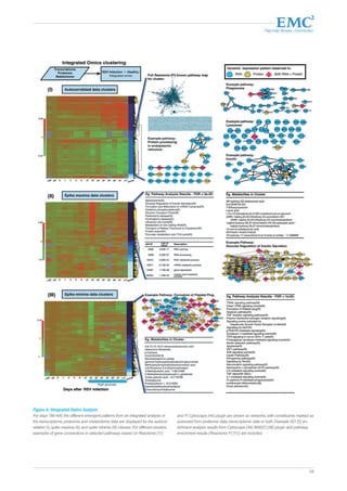 Партнер Фонда «Сколково» 
59 
Figure 4. Integrated Omics Analysis 
For days 186-400, the different emergent patterns from an integrated analysis of 
the transcriptome, proteome, and metabolome data are displayed for the autocor-relation 
(I), spike maxima (II), and spike minima (III) classes. For different clusters, 
examples of gene connections in selected pathways based on Reactome [11] 
and FI Cytoscape [44] plugin are shown as networks, with constituents marked as 
assessed from proteome data, transcriptome data or both. Example GO [5] en-richment 
analysis results from Cytoscape [44] BiNGO [36] plugin and pathway 
enrichment results (Reactome FI [11]) are included. 
 