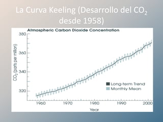 0,035% de dióxido de carbono (CO2)  