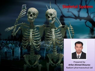 Skeletal System

Prepared by
Arfan Ahmed Shourov
Radiant pharmaceutical Ltd

 