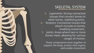SKELETAL SYSTEM
3. Ligaments: Strong connective
tissues that connect bones to
other bones, stabilizing joints.
4. Tendons: Connective tissues that
attach muscles to bones,
enabling movement.
5. Joints: Areas where two or more
bones meet, allowing for various
ranges of motion.
These components work together to
support the body, protect vital organs,
and enable movement.
 