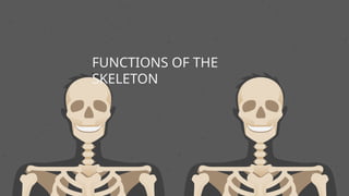 FUNCTIONS OF THE
SKELETON
 