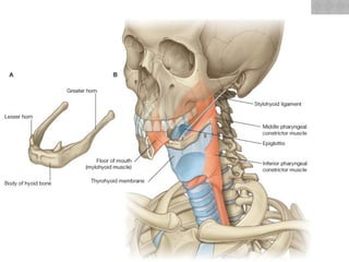 05/17/2025
Dr. abdifatah M. Ibrahim
 