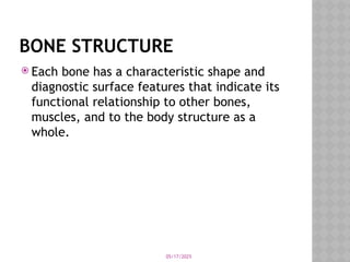05/17/2025
BONE STRUCTURE
 Each bone has a characteristic shape and
diagnostic surface features that indicate its
functional relationship to other bones,
muscles, and to the body structure as a
whole.
 