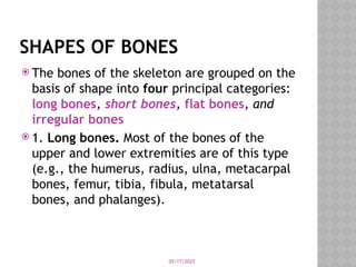05/17/2025
SHAPES OF BONES
 The bones of the skeleton are grouped on the
basis of shape into four principal categories:
long bones, short bones, flat bones, and
irregular bones
 1. Long bones. Most of the bones of the
upper and lower extremities are of this type
(e.g., the humerus, radius, ulna, metacarpal
bones, femur, tibia, fibula, metatarsal
bones, and phalanges).
 