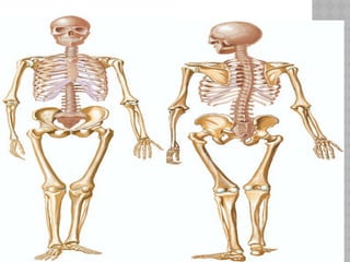 05/17/2025
Dr. abdifatah M. Ibrahim
 