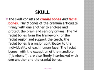 05/17/2025
SKULL
 The skull consists of cranial bones and facial
bones. The 8 bones of the cranium articulate
firmly with one another to enclose and
protect the brain and sensory organs. The 14
facial bones form the framework for the
facial region and support the teeth. the
facial bones is a major contributor to the
individuality of each human face. The facial
bones, with the exception of the mandible
(“jawbone”), are also firmly interlocked with
one another and the cranial bones.
 
