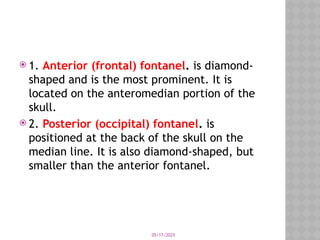 05/17/2025
 1. Anterior (frontal) fontanel. is diamond-
shaped and is the most prominent. It is
located on the anteromedian portion of the
skull.
 2. Posterior (occipital) fontanel. is
positioned at the back of the skull on the
median line. It is also diamond-shaped, but
smaller than the anterior fontanel.
 