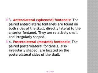 05/17/2025
 3. Anterolateral (sphenoid) fontanels: The
paired anterolateral fontanels are found on
both sides of the skull, directly lateral to the
anterior fontanel. They are relatively small
and irregularly shaped.
 4. Posterolateral (mastoid) fontanels: The
paired posterolateral fontanels, also
irregularly shaped, are located on the
posterolateral sides of the skull.
 