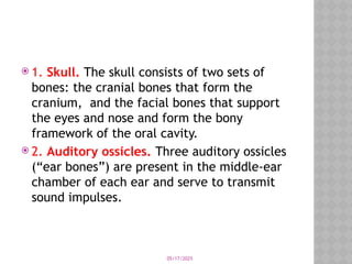 05/17/2025
 1. Skull. The skull consists of two sets of
bones: the cranial bones that form the
cranium, and the facial bones that support
the eyes and nose and form the bony
framework of the oral cavity.
 2. Auditory ossicles. Three auditory ossicles
(“ear bones”) are present in the middle-ear
chamber of each ear and serve to transmit
sound impulses.
 