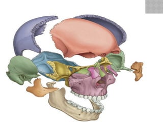 05/17/2025
Dr. abdifatah M. Ibrahim
 