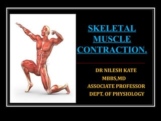 DR NILESH KATE
MBBS,MD
ASSOCIATE PROFESSOR
DEPT. OF PHYSIOLOGY
SKELETAL
MUSCLE
CONTRACTION.
 