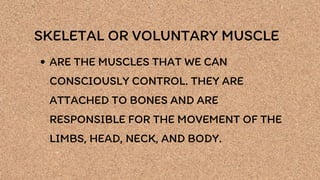 SKELETAL OR VOLUNTARY MUSCLE
ARE THE MUSCLES THAT WE CAN
CONSCIOUSLY CONTROL. THEY ARE
ATTACHED TO BONES AND ARE
RESPONSIBLE FOR THE MOVEMENT OF THE
LIMBS, HEAD, NECK, AND BODY.
 