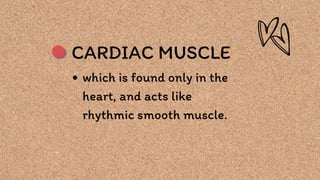 CARDIAC MUSCLE
which is found only in the
heart, and acts like
rhythmic smooth muscle.
 
