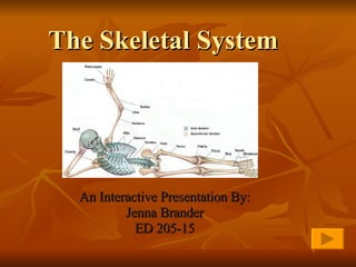 The Skeletal System An Interactive Presentation By: Jenna Brander ED 205-15 