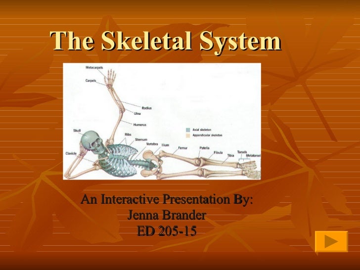 interactive powerpoint skeletal system