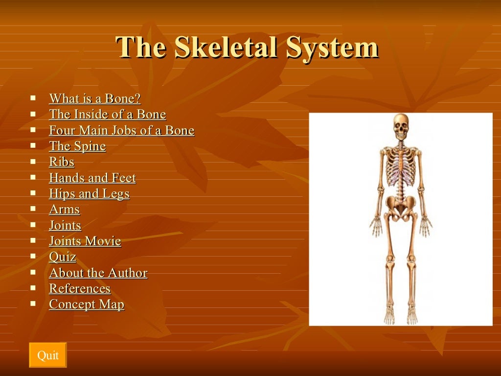 presentation about skeletal system
