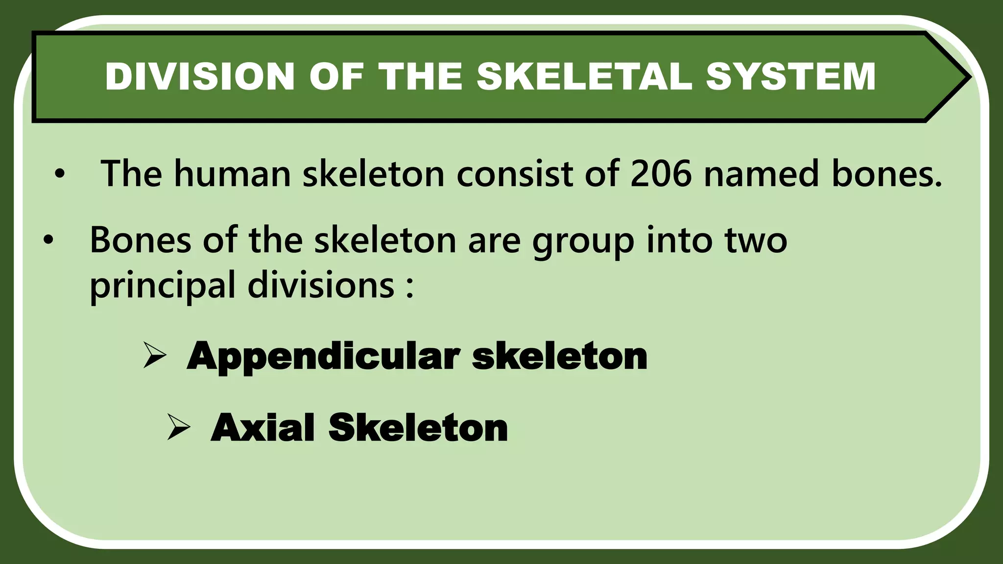 SKELETAL SYSTEM 1 pptx skeletal-system-1-pptx