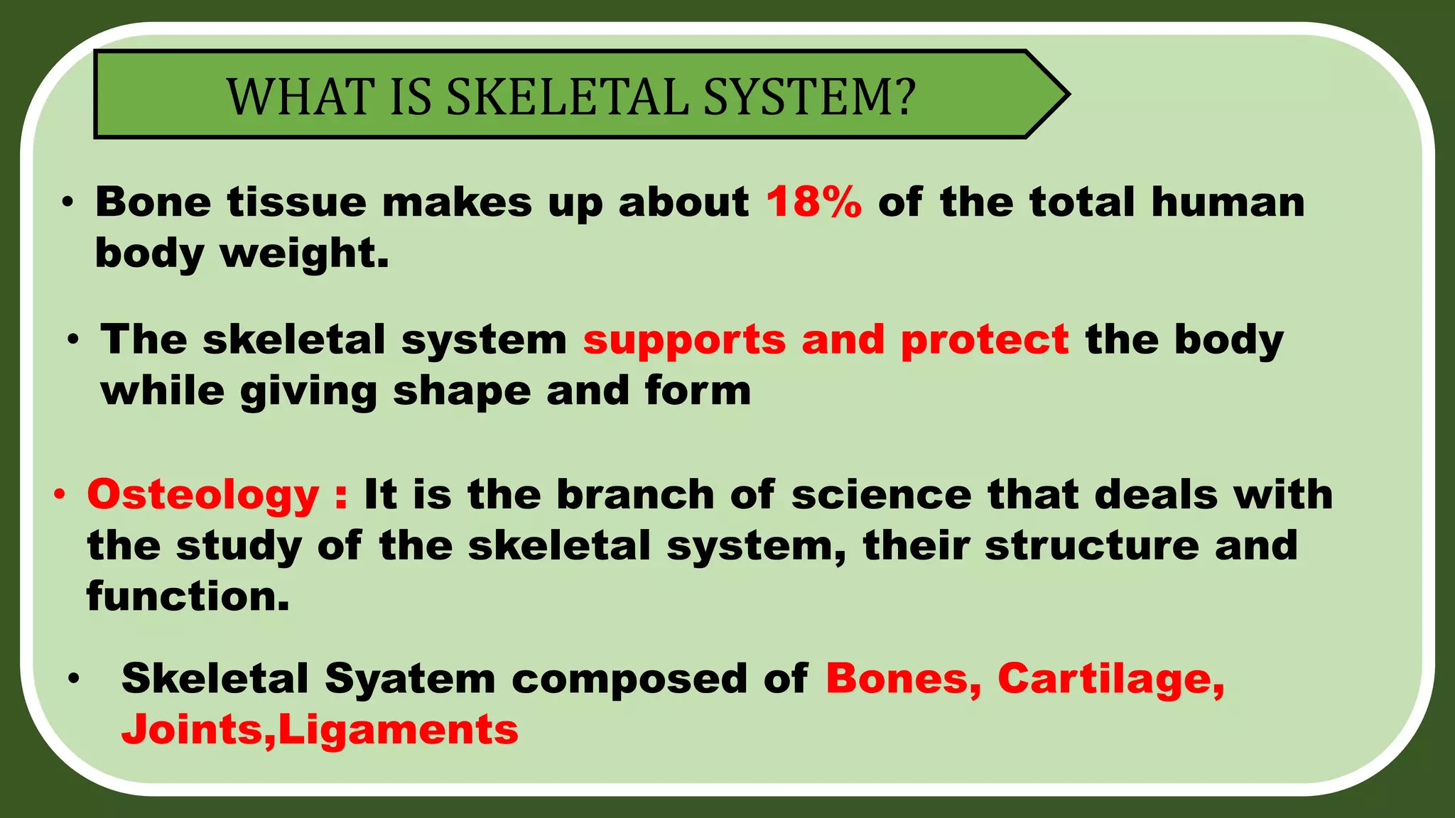 SKELETAL SYSTEM 1 pptx skeletal-system-1-pptx
