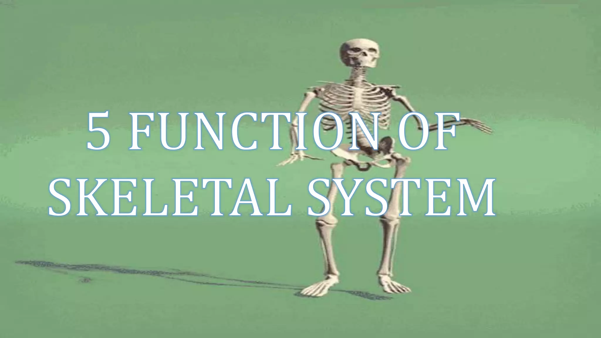 SKELETAL SYSTEM 1 pptx skeletal-system-1-pptx