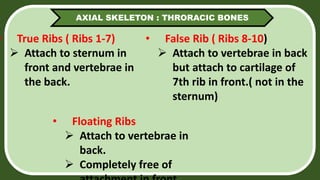 SKELETAL-SYSTEM-1.pptx
