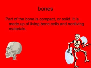 Skeletal System | PPT