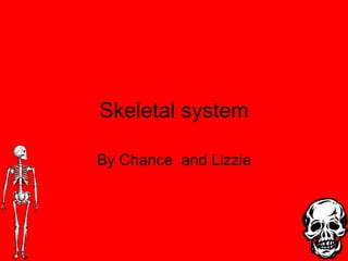 Skeletal system By Chance  and Lizzie 