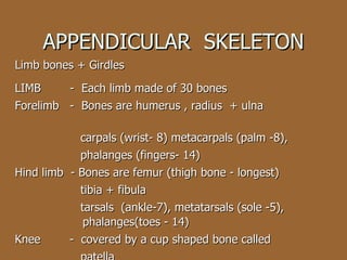 APPENDICULAR  SKELETON Limb bones + Girdles LIMB  -  Each limb made of 30 bones Forelimb  -  Bones are humerus , radius  + ulna  carpals (wrist- 8) metacarpals (palm -8),  phalanges (fingers- 14) Hind limb  - Bones are femur (thigh bone - longest) tibia + fibula tarsals  (ankle-7), metatarsals (sole -5),   phalanges(toes - 14) Knee  -  covered by a cup shaped bone called  patella 
