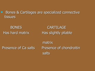 Bones & Cartilages are specialized connective  tissues BONES  CARTILAGE Has hard matrix  Has slightly pliable  matrix Presence of Ca salts  Presence of chondroitin  salts 