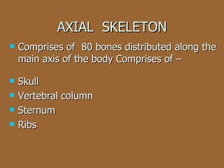 AXIAL  SKELETON Comprises of  80 bones distributed along the main axis of the body Comprises of – Skull Vertebral column  Sternum  Ribs 