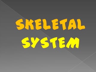 SKELETAL SYSTEM 