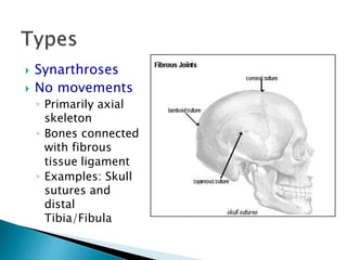  Synarthroses
 No movements
◦ Primarily axial
skeleton
◦ Bones connected
with fibrous
tissue ligament
◦ Examples: Skull
sutures and
distal
Tibia/Fibula
 