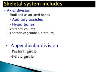  Axial division
◦ Skull and associated bones
 Auditory ossicles
 Hyoid bones
◦ Vertebral column
◦ Thoracic cage(Ribs+ sternum)
• Appendicular division
-Pectoral girdle
-Pelvic girdle
 