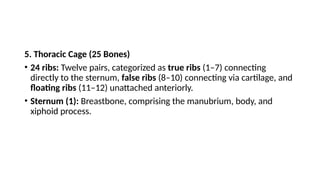 5. Thoracic Cage (25 Bones)
• 24 ribs: Twelve pairs, categorized as true ribs (1–7) connecting
directly to the sternum, false ribs (8–10) connecting via cartilage, and
floating ribs (11–12) unattached anteriorly.
• Sternum (1): Breastbone, comprising the manubrium, body, and
xiphoid process.
 