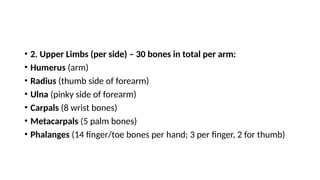 • 2. Upper Limbs (per side) – 30 bones in total per arm:
• Humerus (arm)
• Radius (thumb side of forearm)
• Ulna (pinky side of forearm)
• Carpals (8 wrist bones)
• Metacarpals (5 palm bones)
• Phalanges (14 finger/toe bones per hand; 3 per finger, 2 for thumb)
 