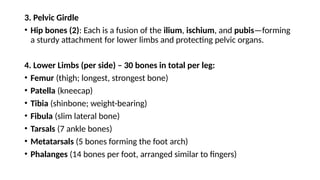 3. Pelvic Girdle
• Hip bones (2): Each is a fusion of the ilium, ischium, and pubis—forming
a sturdy attachment for lower limbs and protecting pelvic organs.
4. Lower Limbs (per side) – 30 bones in total per leg:
• Femur (thigh; longest, strongest bone)
• Patella (kneecap)
• Tibia (shinbone; weight-bearing)
• Fibula (slim lateral bone)
• Tarsals (7 ankle bones)
• Metatarsals (5 bones forming the foot arch)
• Phalanges (14 bones per foot, arranged similar to fingers)
 