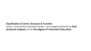 Classification of Joints: Structure & Function
Joints—connections between bones—are categorized both by their
structural makeup and by the degree of movement they allow.
 