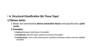 • A. Structural Classification (By Tissue Type)
1.Fibrous Joints
1. Bones are connected by dense connective tissue and typically lack a joint
cavity.
2. Examples:
1.Sutures between skull bones (immobile)
2.Gomphoses, like the tooth–socket connection (immobile)
3.Syndesmoses, such as the interosseous membrane between radius and ulna (slightly
movable)
 