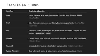 CLASSIFICATION OF BONES
 