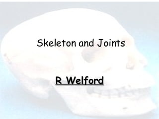 Anatomy and Performance R Welford Skeleton and Joints 