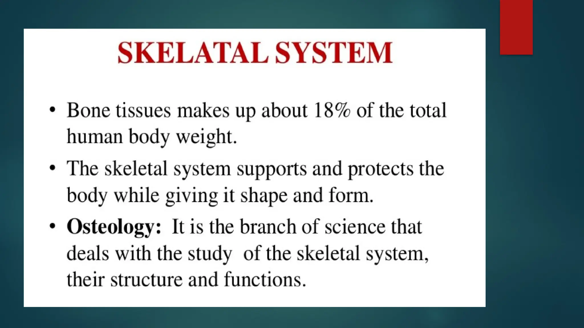 Skeletal System Final Pptx Ppt Skeletal System Final Pptx Ppt