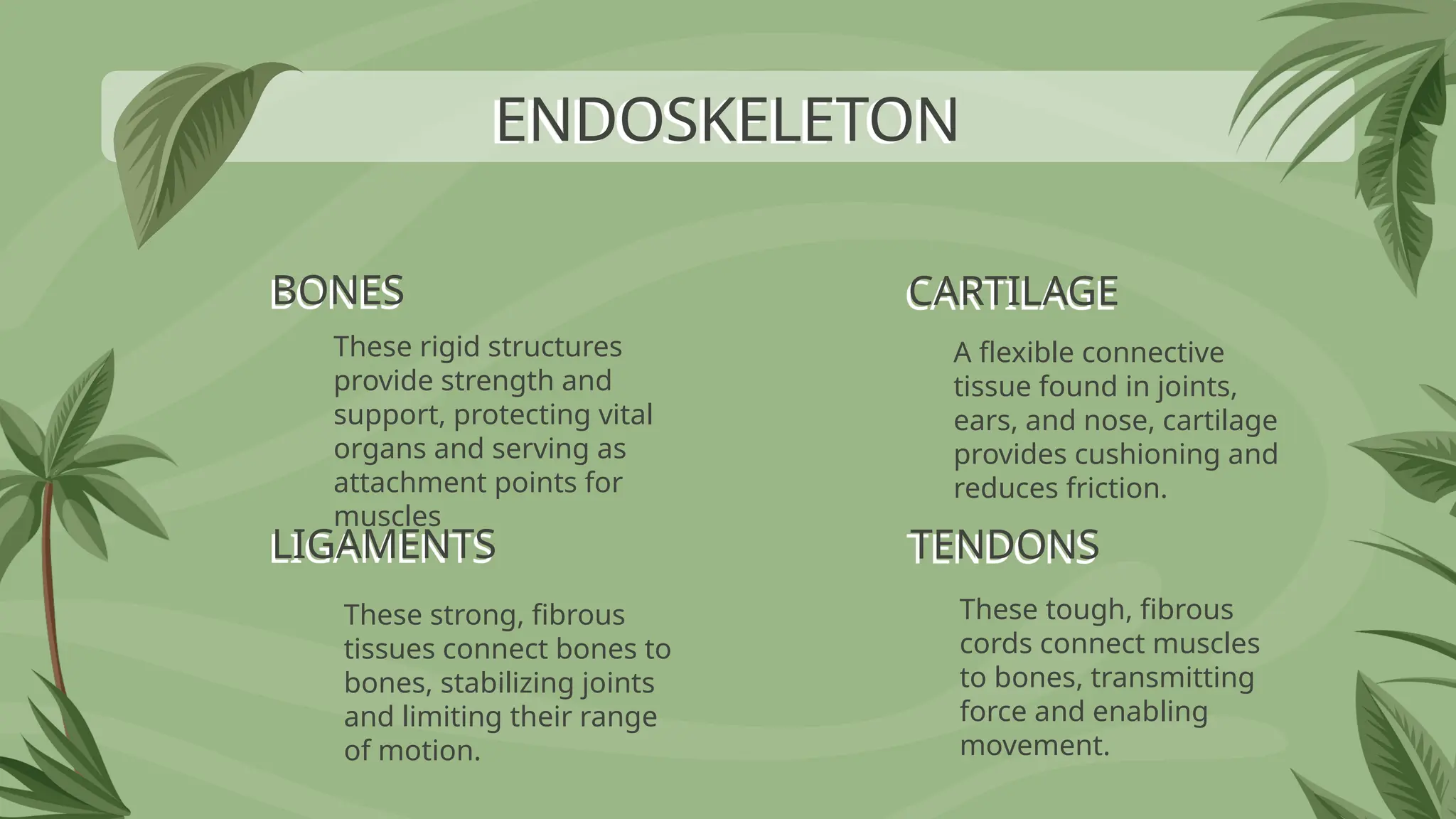 BONES
These rigid structures
provide strength and
support, protecting vital
organs and serving as
attachment points for
muscles
A flexible connective
tissue found in joints,
ears, and nose, cartilage
provides cushioning and
reduces friction.
These strong, fibrous
tissues connect bones to
bones, stabilizing joints
and limiting their range
of motion.
These tough, fibrous
cords connect muscles
to bones, transmitting
force and enabling
movement.
ENDOSKELETON
LIGAMENTS
CARTILAGE
TENDONS
 
