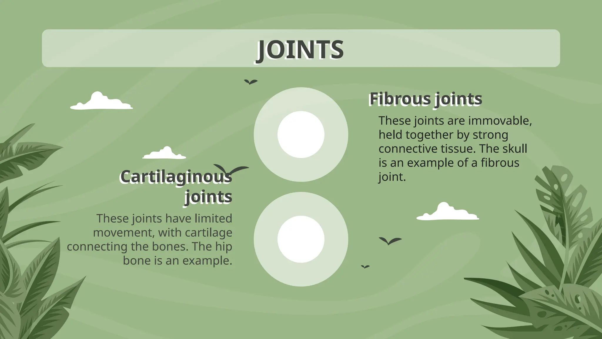 Cartilaginous
joints
Fibrous joints
These joints have limited
movement, with cartilage
connecting the bones. The hip
bone is an example.
These joints are immovable,
held together by strong
connective tissue. The skull
is an example of a fibrous
joint.
JOINTS
 