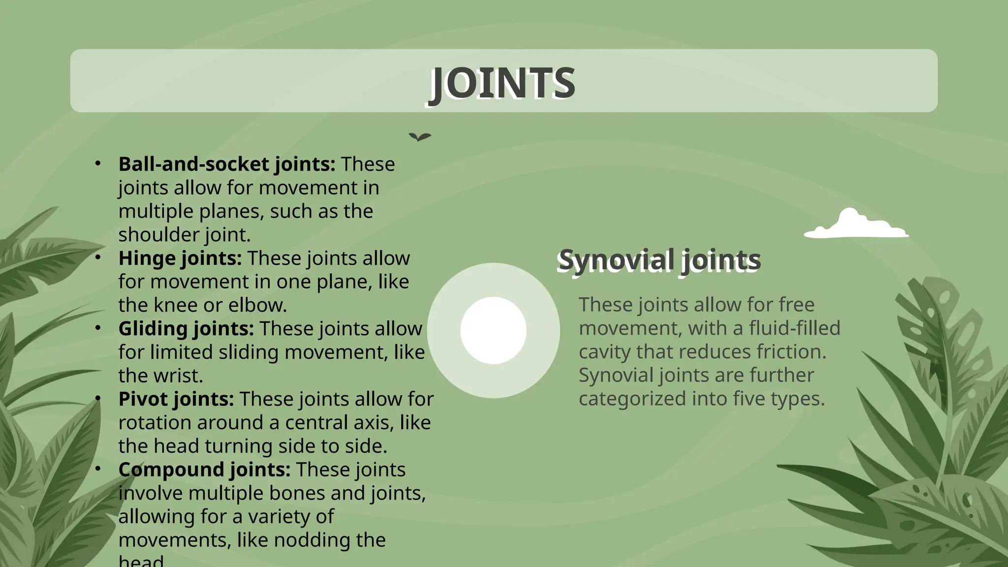 Synovial joints
These joints allow for free
movement, with a fluid-filled
cavity that reduces friction.
Synovial joints are further
categorized into five types.
JOINTS
• Ball-and-socket joints: These
joints allow for movement in
multiple planes, such as the
shoulder joint.
• Hinge joints: These joints allow
for movement in one plane, like
the knee or elbow.
• Gliding joints: These joints allow
for limited sliding movement, like
the wrist.
• Pivot joints: These joints allow for
rotation around a central axis, like
the head turning side to side.
• Compound joints: These joints
involve multiple bones and joints,
allowing for a variety of
movements, like nodding the
 