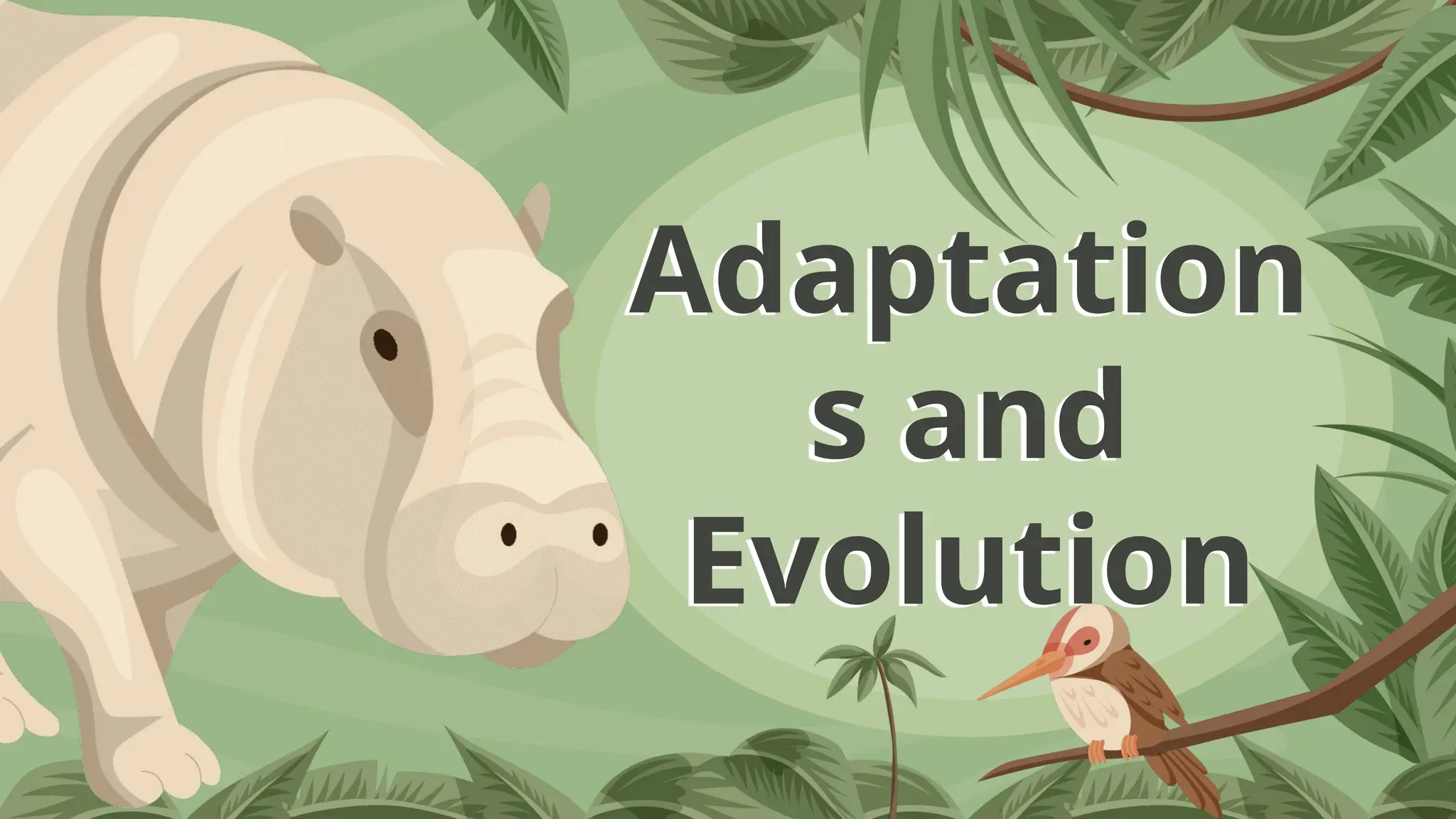 Adaptation
s and
Evolution
 