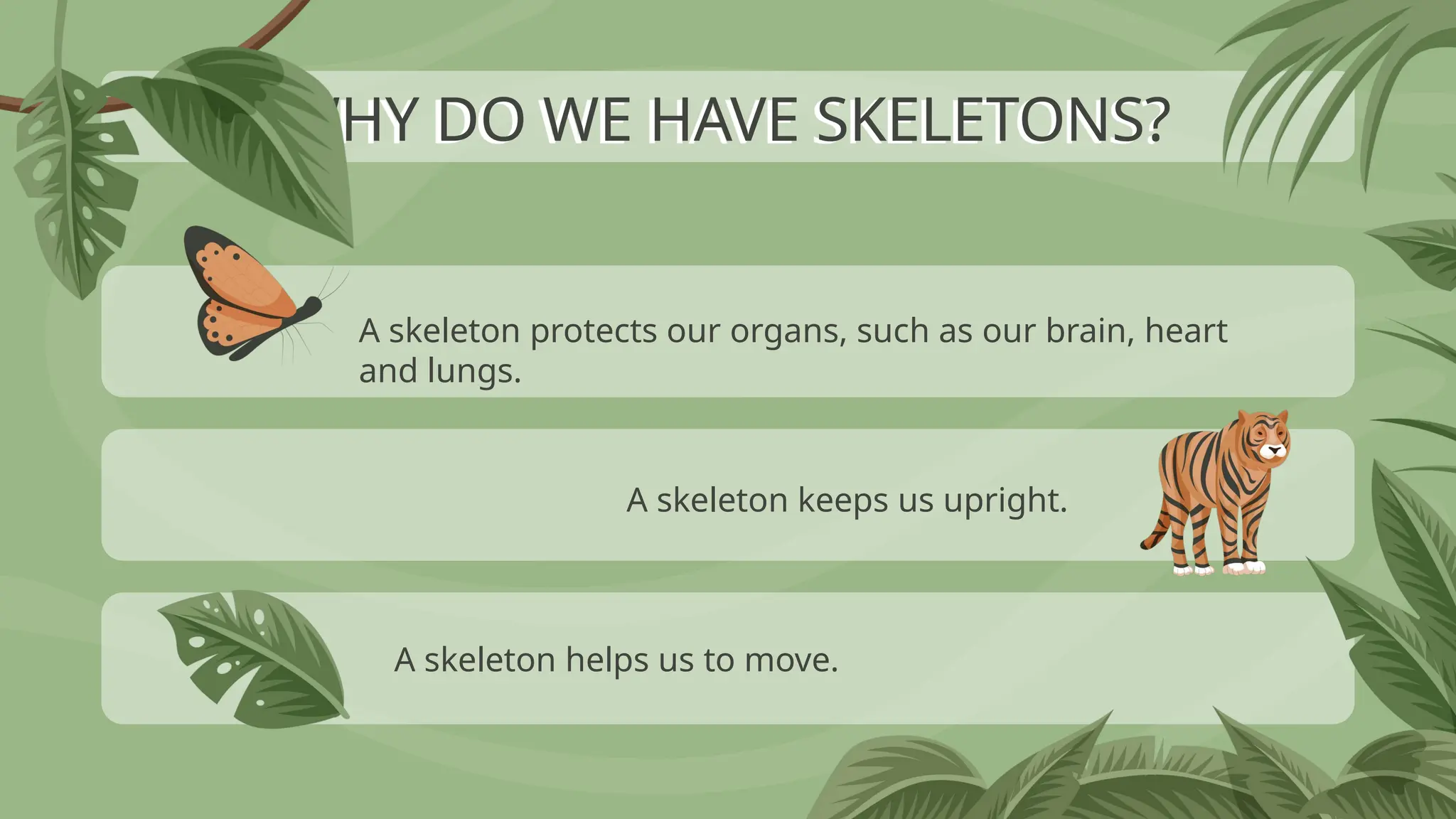 WHY DO WE HAVE SKELETONS?
A skeleton protects our organs, such as our brain, heart
and lungs.
A skeleton keeps us upright.
A skeleton helps us to move.
 