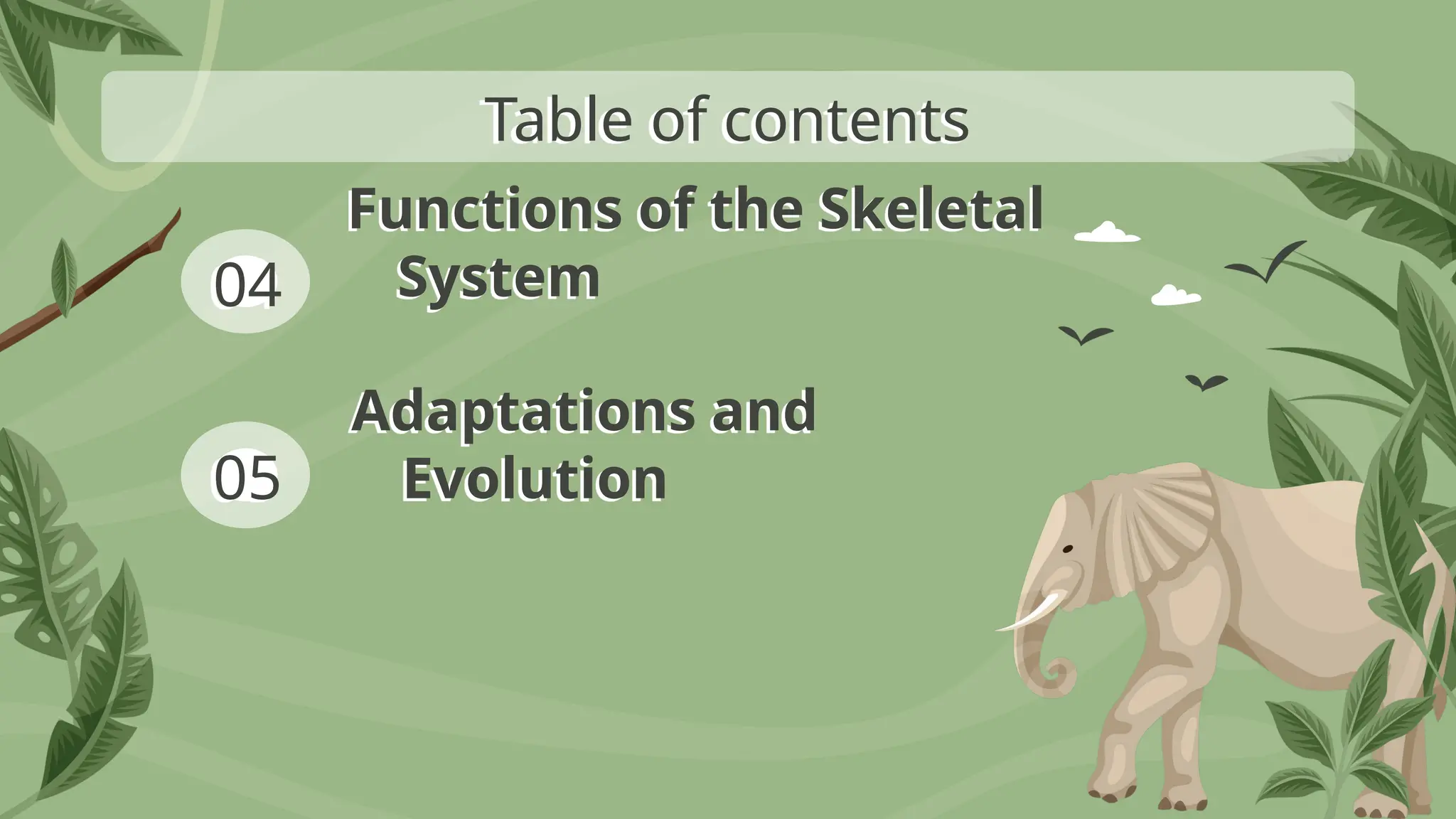 04
05
Table of contents
Functions of the Skeletal
System
Adaptations and
Evolution
 