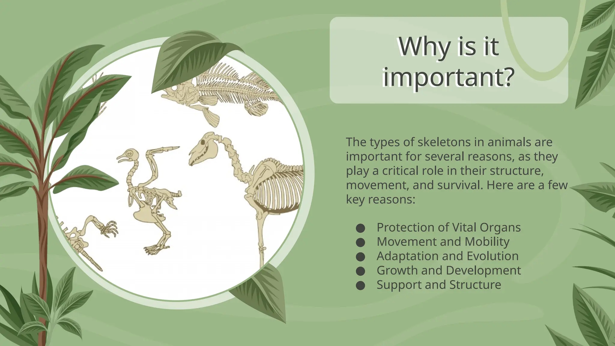 Why is it
important?
The types of skeletons in animals are
important for several reasons, as they
play a critical role in their structure,
movement, and survival. Here are a few
key reasons:
● Protection of Vital Organs
● Movement and Mobility
● Adaptation and Evolution
● Growth and Development
● Support and Structure
 