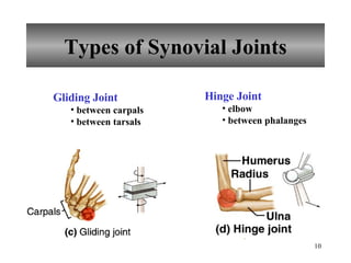 Types of Synovial Joints Gliding Joint between carpals between tarsals Hinge Joint elbow between phalanges 