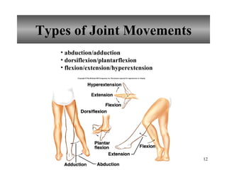 Types of Joint Movements abduction/adduction dorsiflexion/plantarflexion flexion/extension/hyperextension 