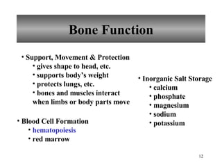 Bone Function Support, Movement & Protection gives shape to head, etc. supports body’s weight protects lungs, etc. bones and muscles interact  when limbs or body parts move Blood Cell Formation hematopoiesis red marrow Inorganic Salt Storage calcium  phosphate magnesium sodium potassium 